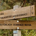 Escursione sul percorso n. 29 da Dobbiaco al Lago di Dobbiaco 