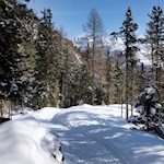 Leichte Winterwanderung zur Juac Hütte