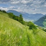 Durch aussichtsreiche Wiesen nach Obertelfes