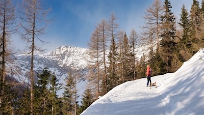 Winterwanderung zur Moserhütte