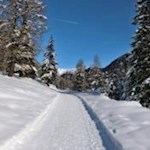Durch eine winterweiße Wunderwelt zur Lercheralm
