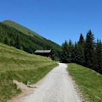 Auf breitem Wege zur Wieserhütte