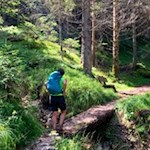 Anstieg durch den Wald zur Tschafonhütte