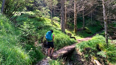 Anstieg durch den Wald zur Tschafonhütte