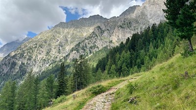 Während des Anstiegs auf den Staller Sattel öffnen sich schöne Ausblicke