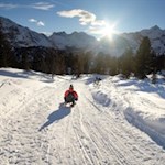 Rodeln von der Senneshütte