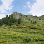 Der Weg zur Alprechtalm wird von naturbelassenen Almwiesen umrahmt