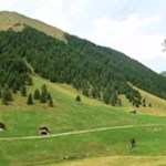 Auf dem nahezu ebenen Wanderweg zur Wieserhütte