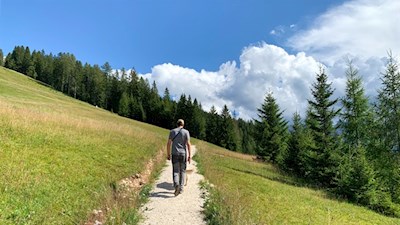 Wiesen oberhalb der Frommeralm