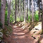 Im steten Anstieg in Richtung Spilucker Platte