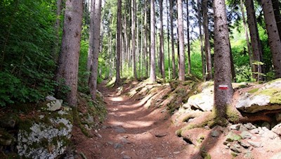 Im steten Anstieg in Richtung Spilucker Platte
