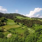 Die sonnenverwöhnten Wiesen und Wälder in Völser Aicha