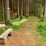 Der liebevoll angelegte Waldweg führt auf der gegenüberliegenden Bachseite zurück nach Lüsen