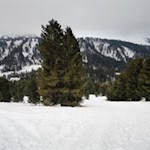 Schließlich verlässt der Wanderweg die gebahnten Wege...