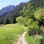 Der Anstieg zur Plafötsch Alm führt durch schöne Wiesen