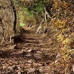 Auf dem Weg Nr. 7A zurück nach Seis