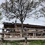 L'ampia terrazza della malga Tuffalm