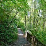 Flanieren auf den Spuren des Kaisers