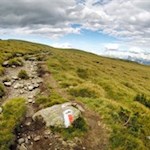 Auf dem Weg Nr. 1 zum Scholer Bild Herz Jesu