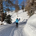 Durch die winterlich verschneite Landschaft zur Kreuzwiesenalm