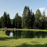 Auf dem Rückweg lohnt ein kurzer Abstecher zum lauschigen See
