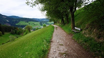 Auf sanften Wegen zum Völser Weiher