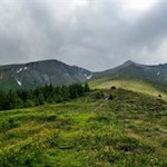 Über farbenfrohe Weidewiesen in Richtung Weißspitze