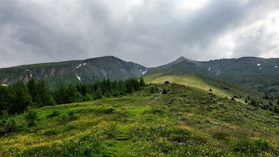 Über farbenfrohe Weidewiesen in Richtung Weißspitze