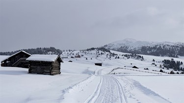 Rastnerhutte Rodenecker Alm Winterwanderung Einfache Familienfreundliche Wanderung Auf Der Rodenecker Alm Zur Ronerhutte Und Zur Rastnerhutte