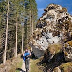 Durch den Wald zum Karersee