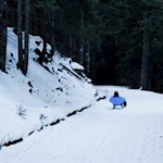 Im steten, aber insgesamt recht gemächlichen Abfahrtstempo hinab ins Tal