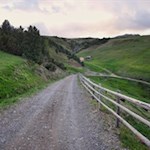 Auf dem Weg Nr. 15B zurück zum Parkplatz Kasereck