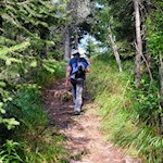 Im leichten Anstieg zur Halslhütte am Würzjoch