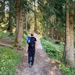 L'escursione alla malga Bel Riposo si snoda attraverso il bosco