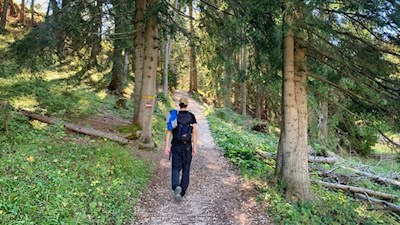 L'escursione alla malga Bel Riposo si snoda attraverso il bosco