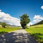 Der Pustertaler Radweg führt durch Wiesen und Felder nach Toblach