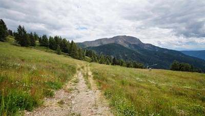 Durch aussichtsreiche Wiesen nach Pichlberg