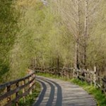 Radweg an den Gestaden der Rienz