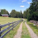 Sanft schlängelt sich der Wanderweg über die weitläufige Villanderer Alm zur Rinderplatz Hütte
