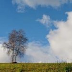 "Ich ziehe deshalb den Herbst dem Frühjahr vor, weil das Auge im Herbst den Himmel, im Frühjahr aber die Erde sucht" (Kierkegaard)