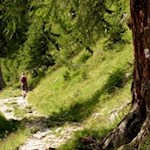 Der Anstieg auf den Zwölferkofel ist bestens markiert