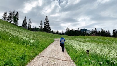 Durch schöne Wiesen zum Lunch See