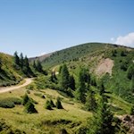 Vor uns erhebt sich der kleine Spieler