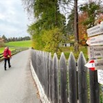 Der Wald-Wild-Wunder-Weg ist gut ausgeschildert