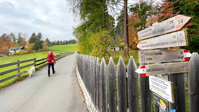 Der Wald-Wild-Wunder-Weg ist gut ausgeschildert