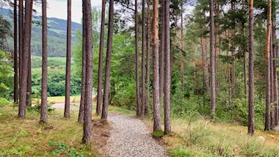Wandern um Schabs