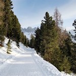 Vor der anmutigen Kulisse der Aferer Geisler zurück nach Palmschoß