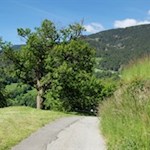 Teile der Wanderung führen über asphaltierte Sträßchen