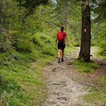 On gentle paths around lago di Landro lake