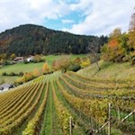 Die Wanderung zum Wolfsgrubener See führt durch eine bezaubernde Landschaft